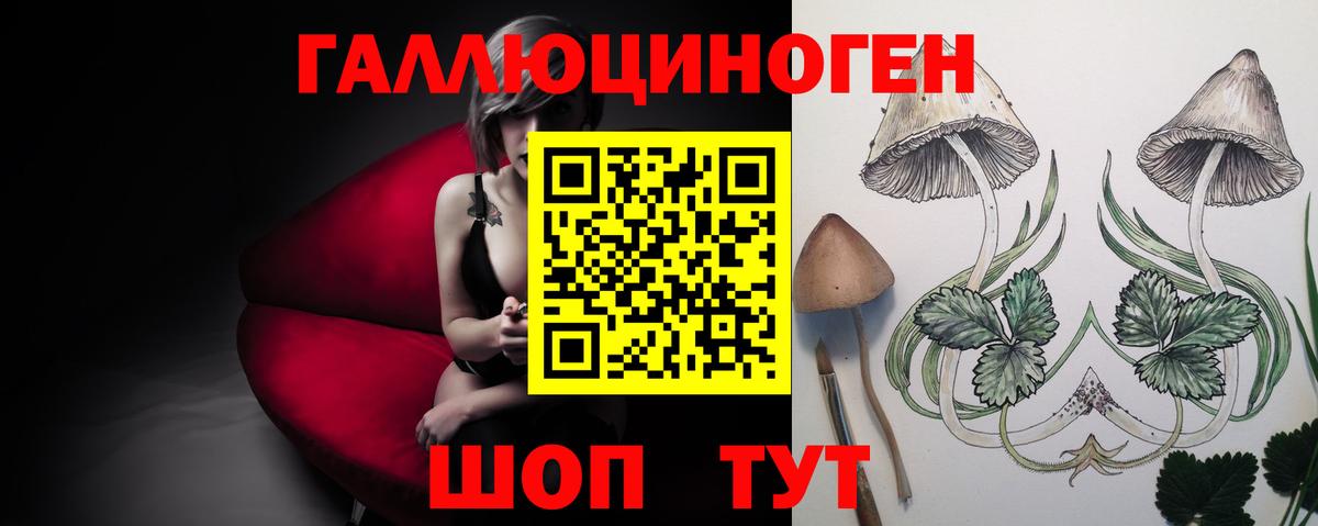 Полысаево  Галлюциногенные грибы GOLDEN TEACHER  Псилоцибиновые грибы Psilocybe  Вход с VPN 